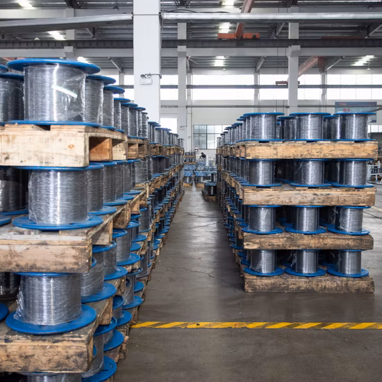 High Carbon Galvanized Spring Steel Wire