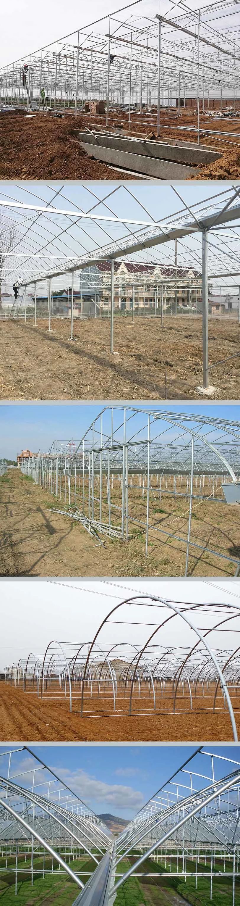 Hot Sale Multi Span Plastic Film Greenhouse for Planting