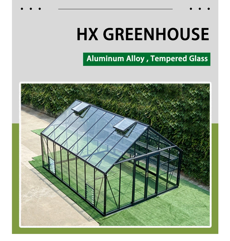 Glasshouse Garden Luxury China Winter Cover Mushroom Green House