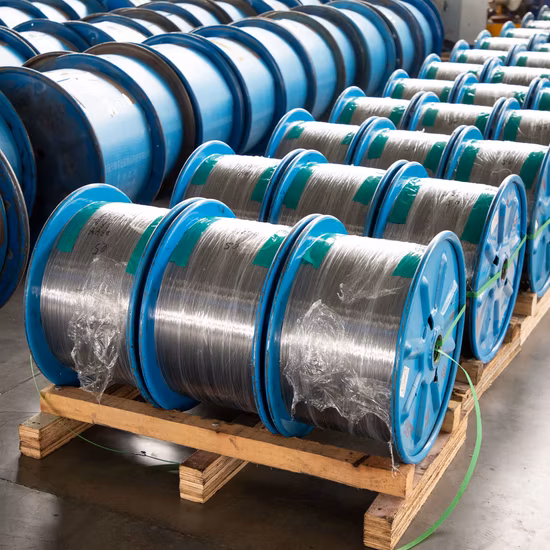 High Carbon Galvanized Spring Steel Wire