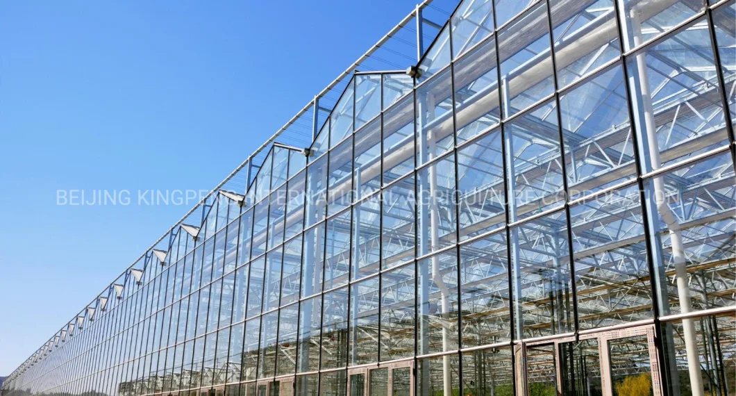 Venlo Tempered/Floated 4mm/5mmglass Multi-Span Greenhouse for Agriculture