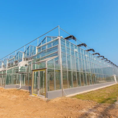 Serra in vetro/multicampo con sistema di irrigazione idroponico per fragole/verdure/fiori/pomodori/peperoni