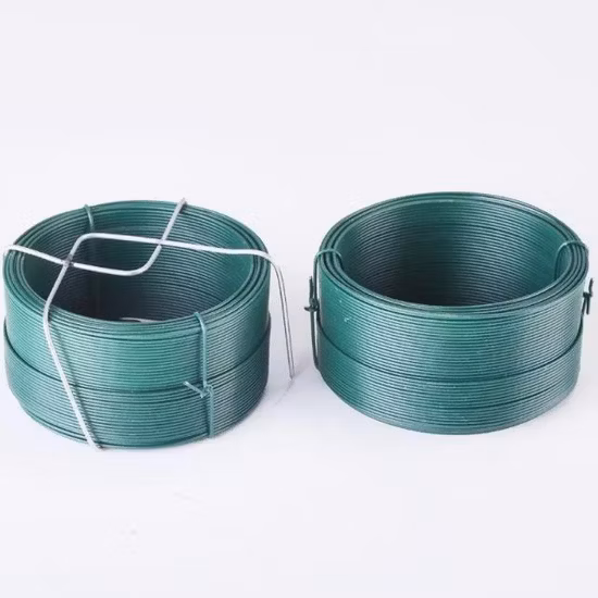 Factory 0,2 mm 0,3 mm 0,4 mm 0,5 mm 0,8 mm 1,0 mm 4,0 mm Swg Bwg 8 10 12 16 18 20 Gauge Ss SAE1006/1008 SAE1050/1065 Filo di acciaio zincato, inossidabile, zincato