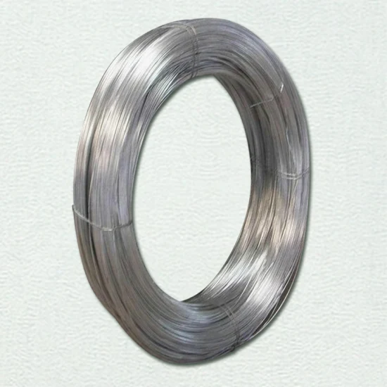 Vergella di acciaio MS SAE 1008/1006 0,3 mm 6,5 mm ASTM 14 Gauge filo di acciaio zincato a caldo per la produzione di imballaggi edili